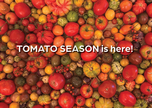 Why Tomatoes Are Amazing: History, Nutrition & Easy Ways to Cook Them